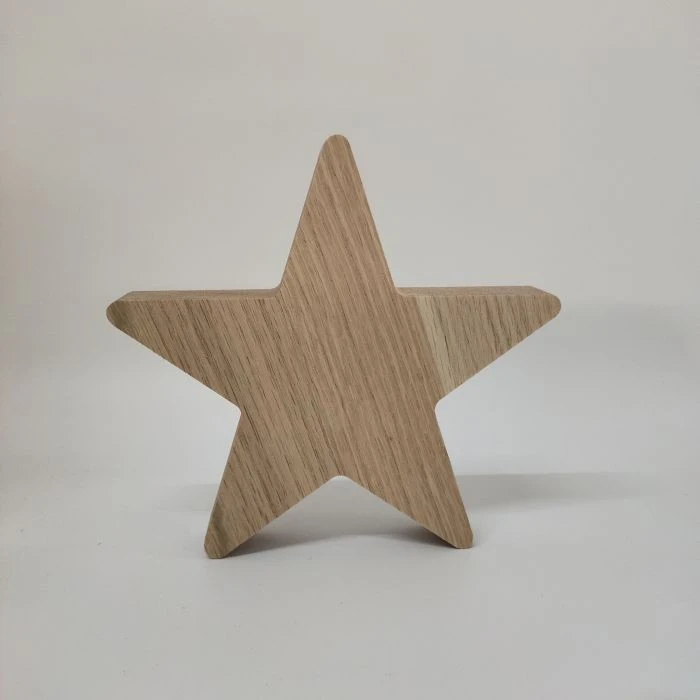 Unfinished Wood Chunky Cutout Shapes Wood Ornaments DIY Crafts